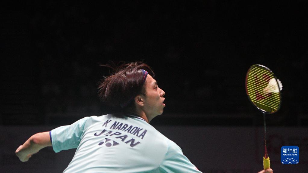 增添了更多 增添了更多