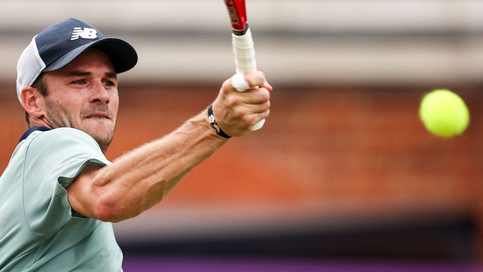 而今年的哈 而今年的哈