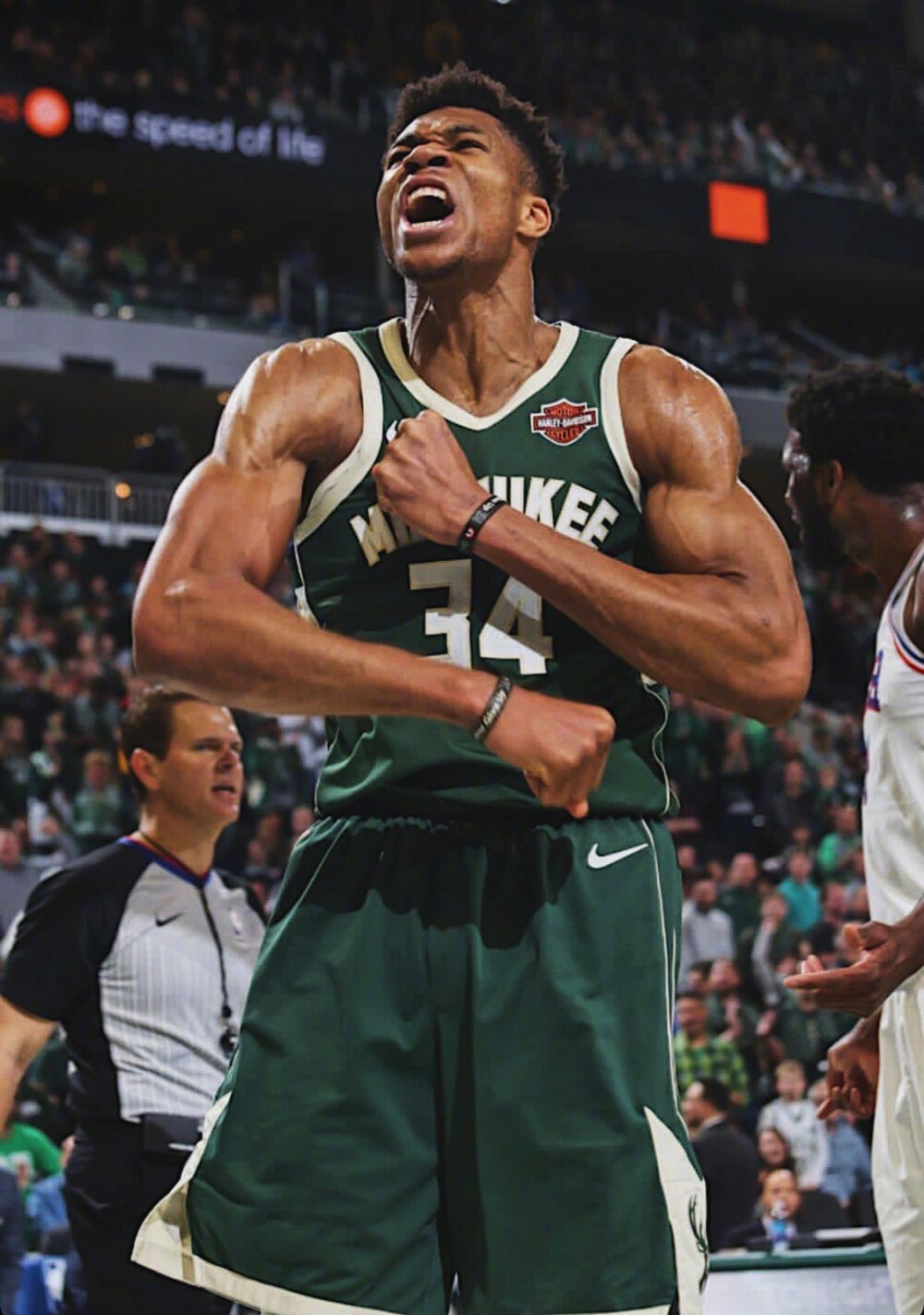 读懂了百家 读懂了百家