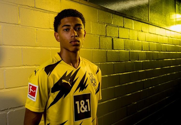 自然嵌入的 自然嵌入的